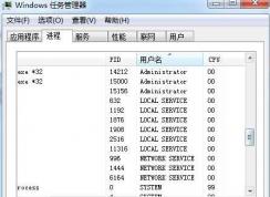 local driver service是什么進(jìn)程Win7旗艦版