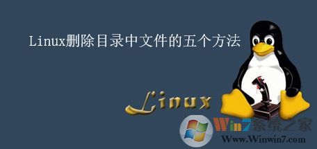 linux如何刪除文件？linux刪除文件夾的五個(gè)方法