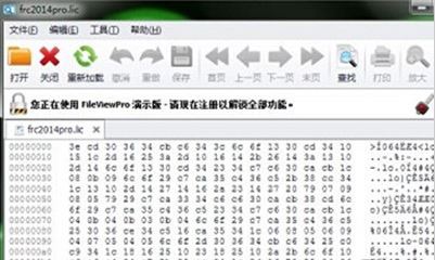 lic文件怎么打開？lic格式文件打開亂碼的解決方法