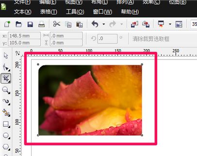 cdr裁剪工具怎么用？cdr軟件中裁剪工具使用方法