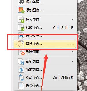 怎么刪除pdf中不要的頁面？教你pdf刪除頁面（圖解）