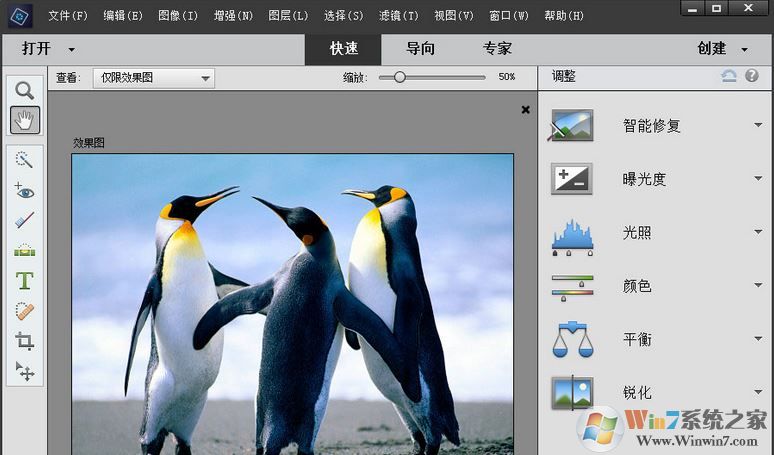 Adobe Photoshop Elements 2019綠色精簡版(無需激活免費用)