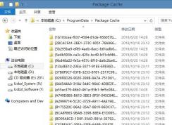 Package Cache是什么文件夾,可以刪除嗎？