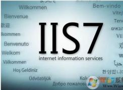IIS(網(wǎng)站無法啟動)Windows Process Activation Service (WAS) 服務(wù)無法啟動