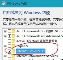 win10系統(tǒng)網(wǎng)頁圖片加載不出來該怎么辦？網(wǎng)頁圖片不顯示的解決方法