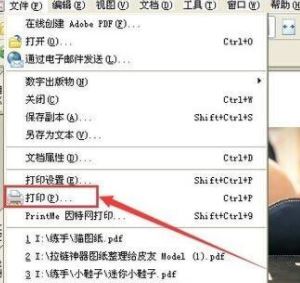 PDF格式怎么打??？pdf文件快速打印的操作方法