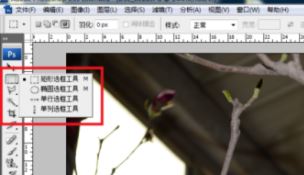 ps局部放大怎么調(diào)？PS放大局部位置的操作方法（含快捷鍵）
