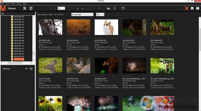 win10系統(tǒng)arw格式怎么打開?win10打開ARW文件教程