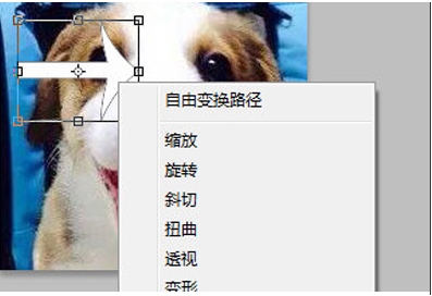 PS旋轉圖片,PS怎么旋轉圖片、圖層？
