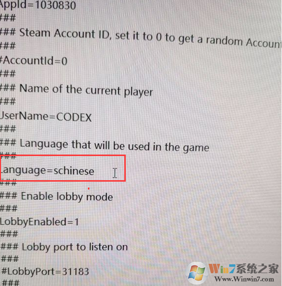 四海兄弟2怎么設(shè)置中文？四海兄弟2英文調(diào)中文方法