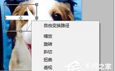ps怎么旋轉圖片？Photoshop旋轉圖片教程