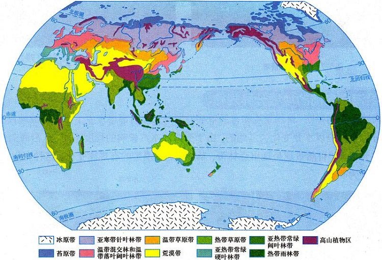 世界氣候類(lèi)型分布圖高清地圖下載|世界氣候類(lèi)型分布圖大全