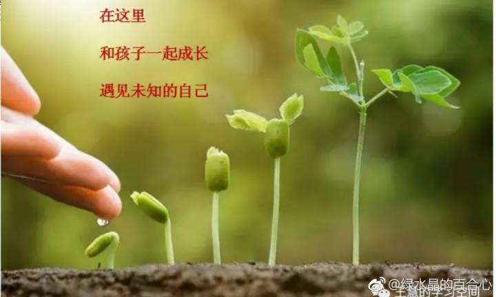 父母與孩子之間的愛(ài)ppt教案