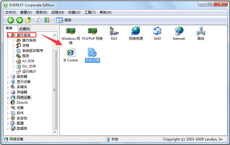 EVEREST Corporate Edition(硬件檢測工具) V5.50.2100 綠色便攜版