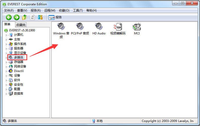 EVEREST Corporate Edition(硬件檢測工具) V5.50.2100 綠色便攜版