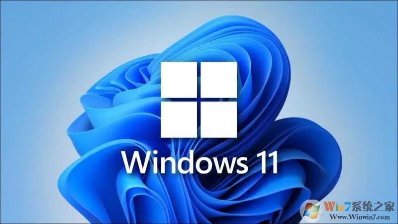 Win11家庭版和專業(yè)版有什么區(qū)別？Win11家庭版和專業(yè)版哪個(gè)好用？