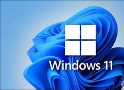 Win11家庭版和專(zhuān)業(yè)版有什么區(qū)別？Win11家庭版和專(zhuān)業(yè)版哪個(gè)好用？