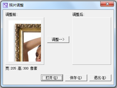 1寸2寸照片生成器 V1.0 綠色免費(fèi)版