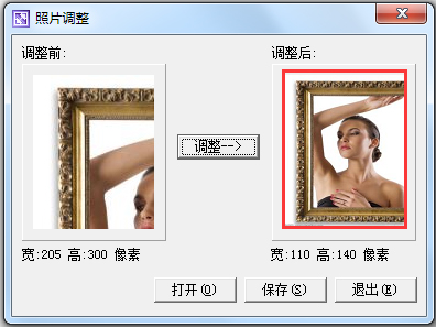 1寸2寸照片生成器 V1.0 綠色免費(fèi)版