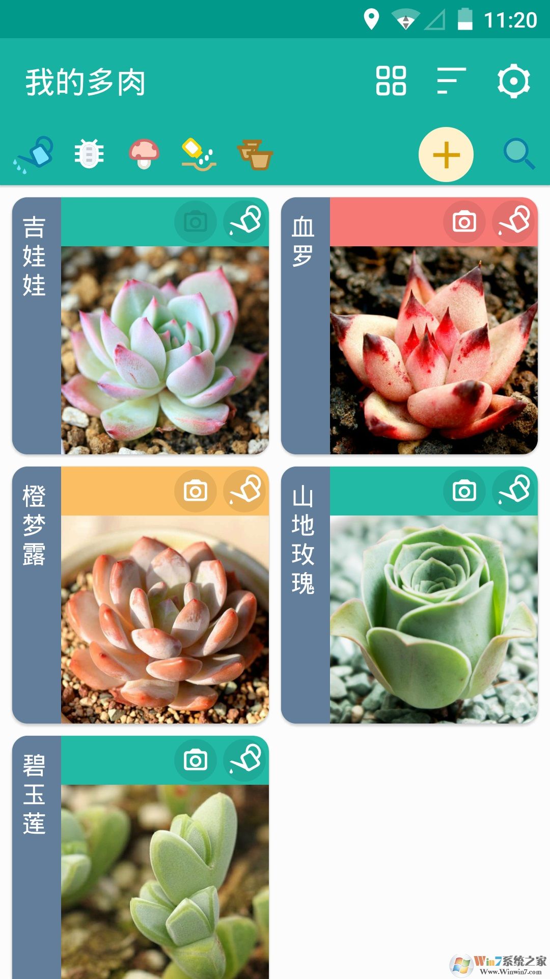 多肉成長(zhǎng)記APP