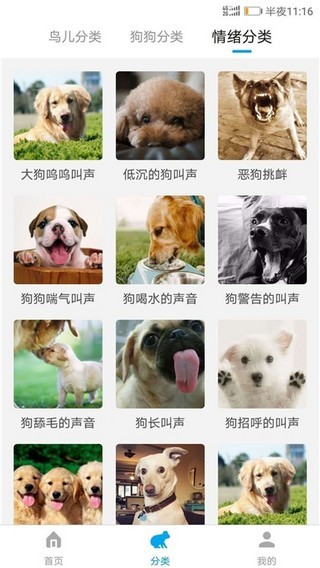 萬能動(dòng)物翻譯器