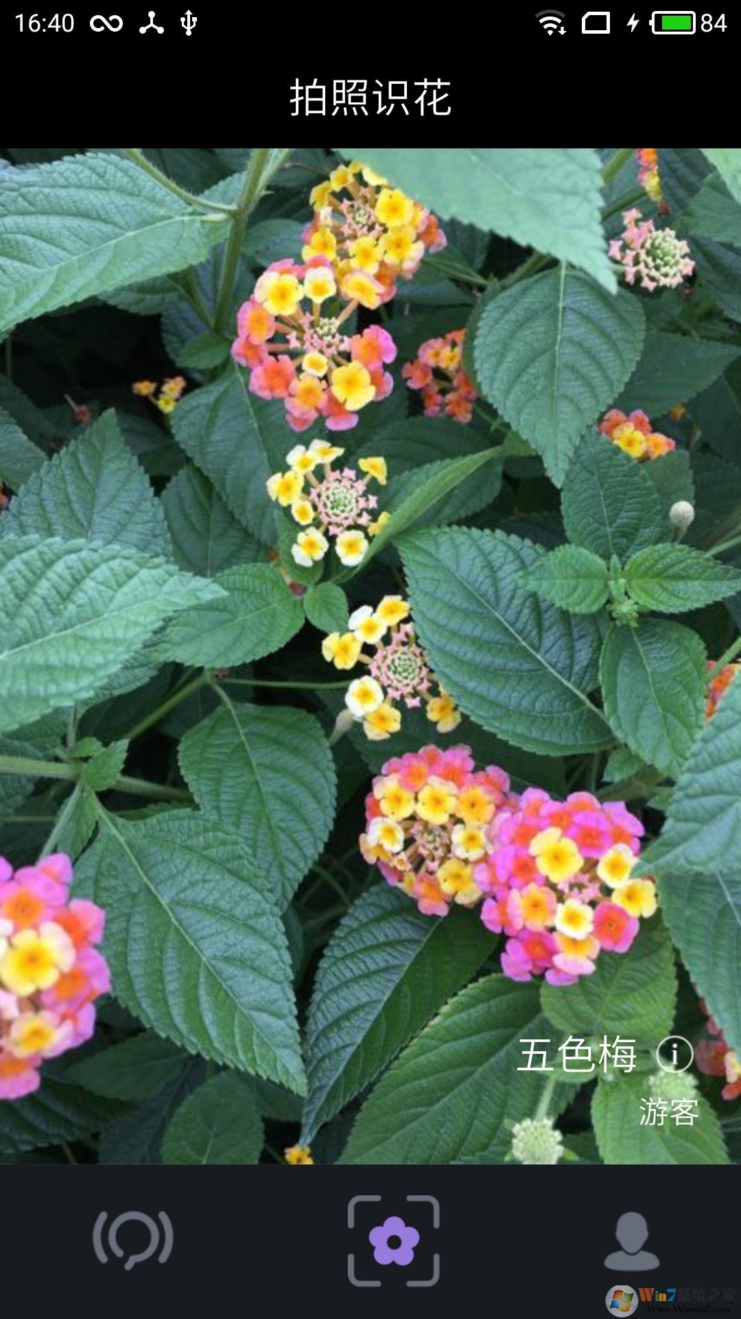 拍照識(shí)花