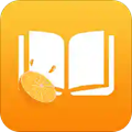 橙子小說(shuō)