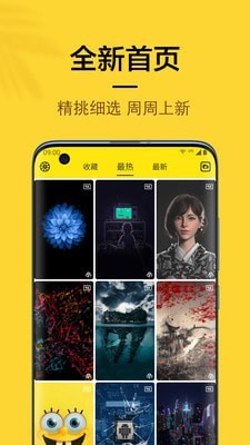 橙子4D動(dòng)態(tài)壁紙