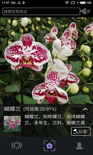 植物拍照識(shí)別