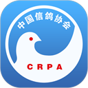中國(guó)信鴿協(xié)會(huì)