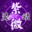 靈動(dòng)紫微算命占卜