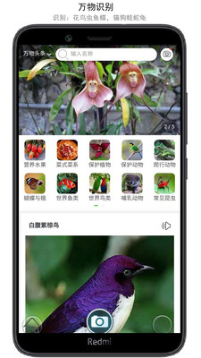 萬物識別APP免費(fèi)版
