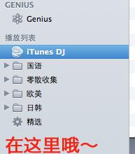 iPhone怎么用itunes下載音樂(lè)?