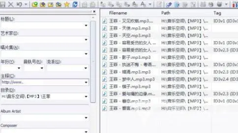 Mp3tag中文版音樂標(biāo)簽編輯器
