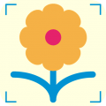 拍照識花神器官方版