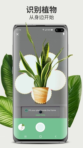 Blossom植物識(shí)別app