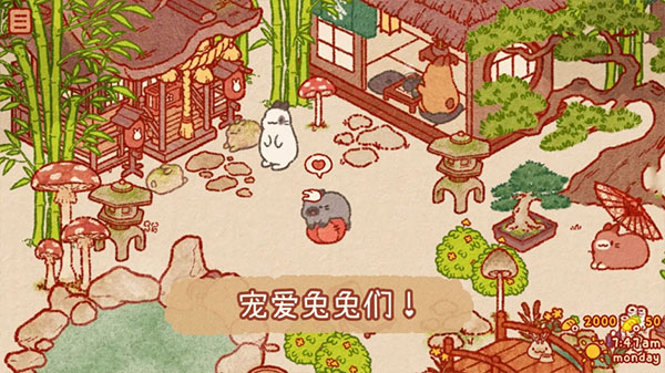 兔兔島國(guó)際服