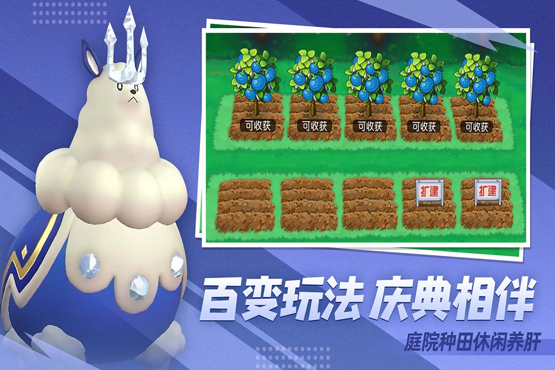 口袋進化
