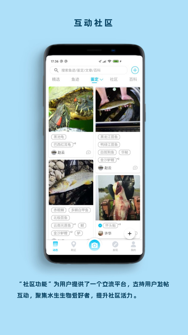 看魚(yú)正式版