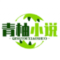 青柚小說純享版