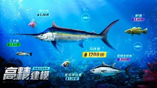 歡樂(lè)釣魚(yú)大師內(nèi)置菜單版