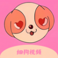 細(xì)狗視頻編輯最新版