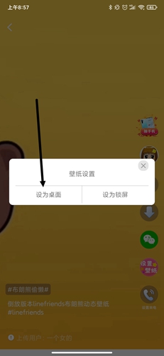 主題動(dòng)態(tài)壁紙安卓版