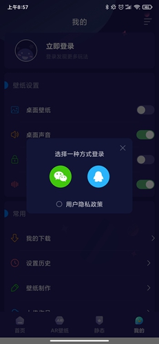主題動(dòng)態(tài)壁紙安卓版