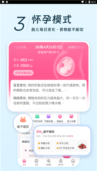 Meetyo標(biāo)準版