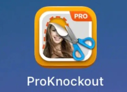 Proknockout下載-Proknockout中文版/最新版/手機(jī)版/升級版