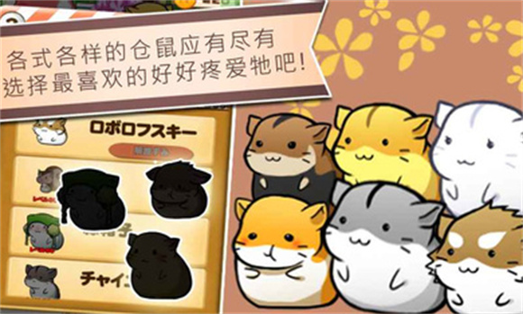 倉(cāng)鼠的日常最新版