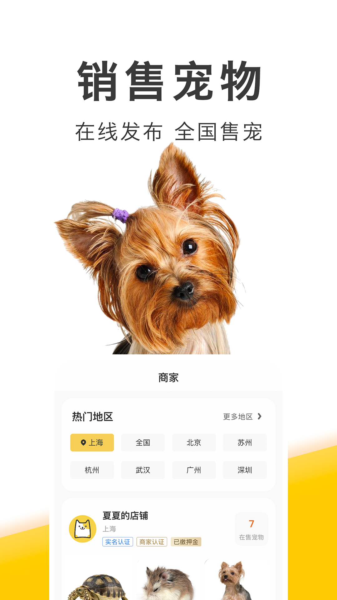 買只寵物正式版