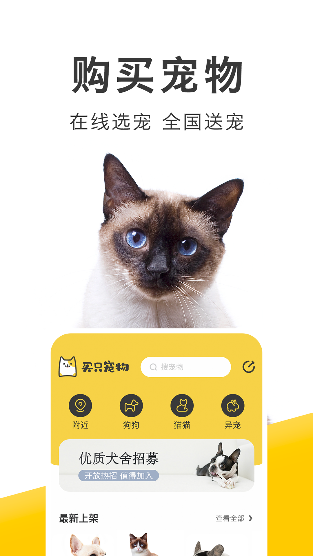 買只寵物正式版