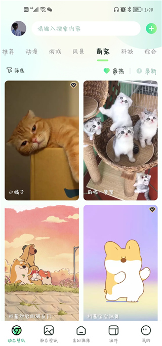 飛火動(dòng)態(tài)壁紙app官方版